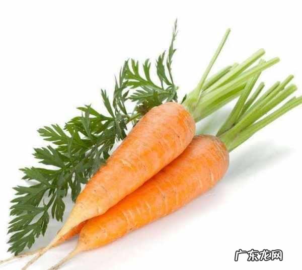 羊肉萝卜馅包子做法,羊肉萝卜包子做法大全