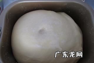 羊肉萝卜馅包子做法,羊肉萝卜包子做法大全