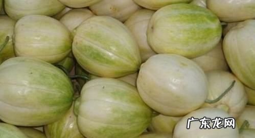 香瓜为什么吃起来苦怎么办,香瓜为什么会苦苦的在香瓜能吃