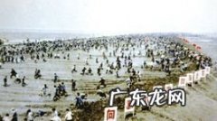 为什么要围垦,为什么要对围海造田这个行为进行限制