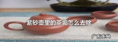 紫砂壶的茶锈怎样清理,紫砂壶里的茶垢怎么去除小妙招