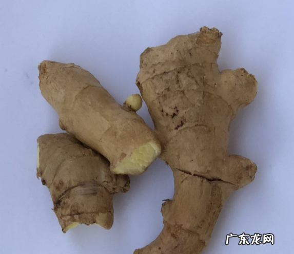 古代没辣椒怎么吃辣味,辣椒传入中国之前中国人想吃辣味怎么办