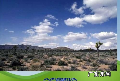 土地沙漠化有何危害,土地沙漠化的危害有哪些如何防止
