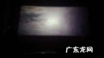 关于寄生虫的名言,关于虫子的名言警句