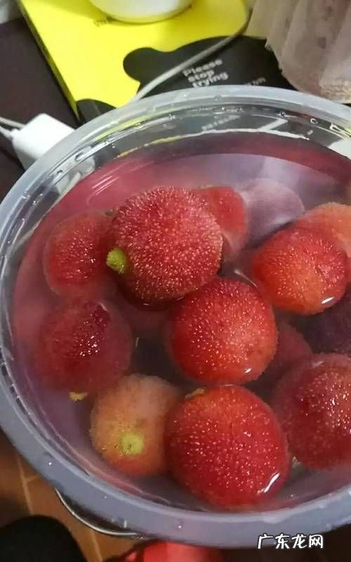 泡过盐水的杨梅怎么保存,怎么腌制杨梅 杨梅的保存方法有哪些
