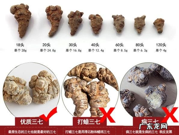 三七如何挑选,三七炖鸡的功效与作用及食用方法