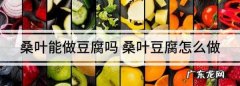桑叶豆腐怎么做,用小苏打制作桑叶豆腐的方法