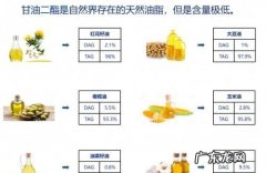 脂和酯有什么区别,酯和脂有什么区别和油又有什么区别