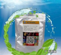 放了黄粉后多久放硝化菌,鱼缸里加了硝化细菌水变浑怎么办