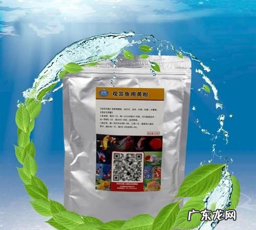 放了黄粉后多久放硝化菌,鱼缸里加了硝化细菌水变浑怎么办