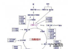 有效酸度是指,什么是土壤的活性酸度与潜在酸度两者的关系是什么