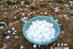 遭遇冰雹应该怎么做,路上遇到冰雹怎么办