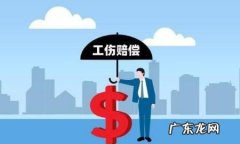 工伤赔偿是公司赔,工伤伤残鉴定赔偿是保险公司赔付