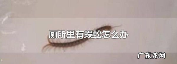 雄黄粉可以驱蜈蚣,用什么东西可以预防蜈蚣来家里