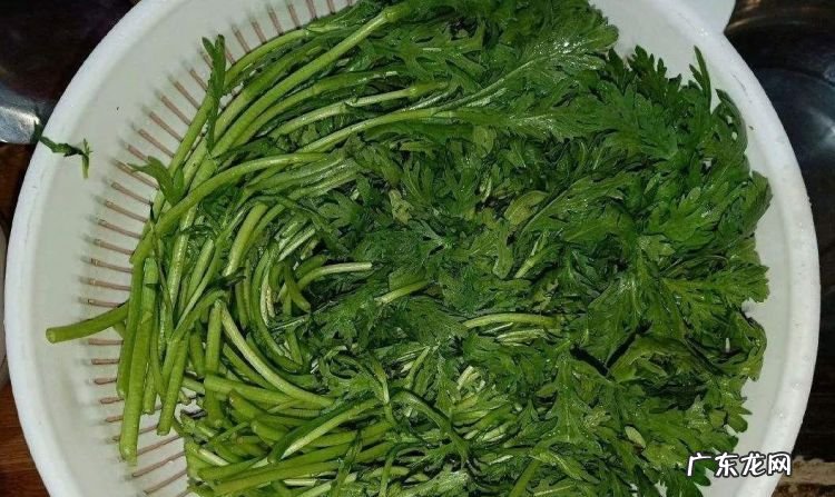 麻蒿菜的作用与功效,黑芝麻茼蒿防掉发2道超简单抗老长黑发食谱必吃