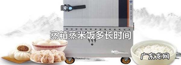 蒸箱怎么蒸米饭,蒸箱托盘蒸米饭放多少米多少水