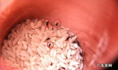 大米夏天怎样保存不生虫,夏天大米怎么储存不生虫不发霉