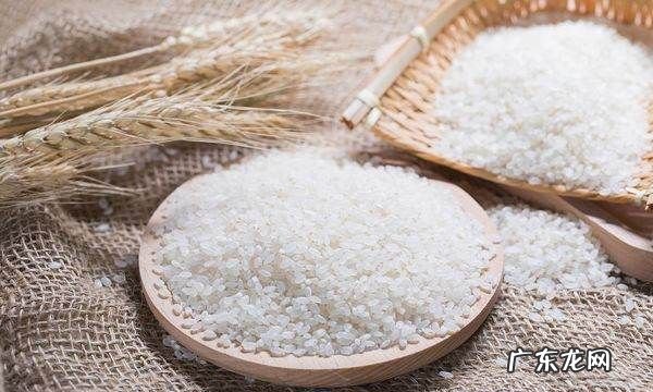 大米夏天怎样保存不生虫,夏天大米怎么储存不生虫不发霉