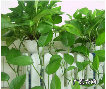 开窗通风去甲醛的正确方法,新装修的房子除甲醛最有效方法