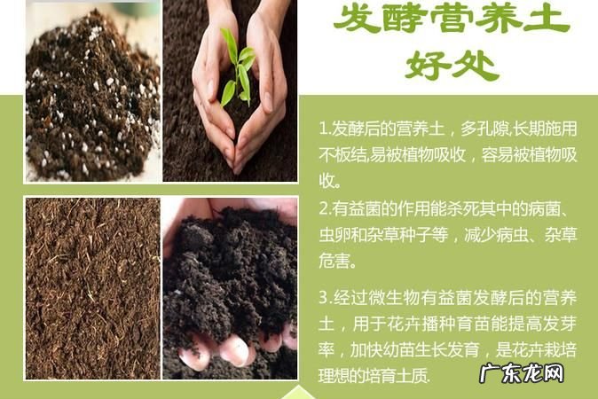 家庭如何用发酵剂制作腐殖土,花土如何发酵