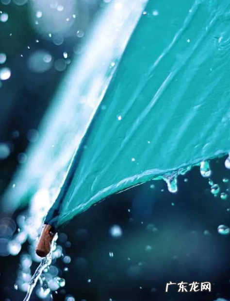 拍摄雨滴快门速度,手机怎么拍雨滴落下的照片