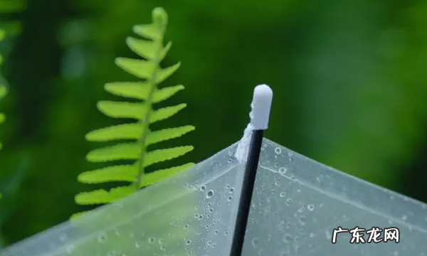 拍摄雨滴快门速度,手机怎么拍雨滴落下的照片
