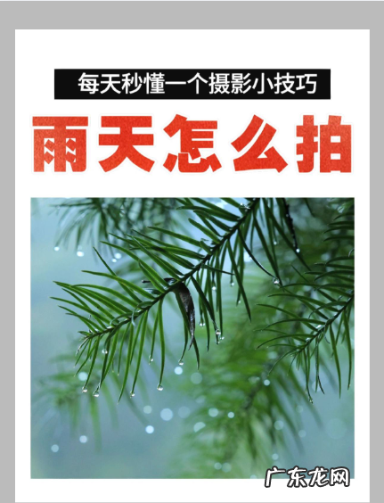 拍摄雨滴快门速度,手机怎么拍雨滴落下的照片