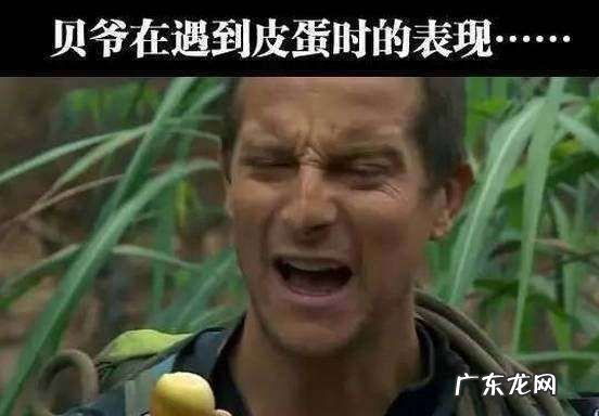 贝爷敢吃皮蛋,贝爷最怕的食物皮蛋