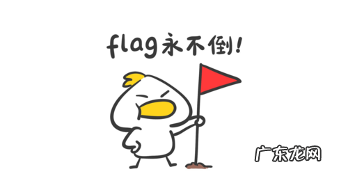 反flag是什么意思,flag是什么意思