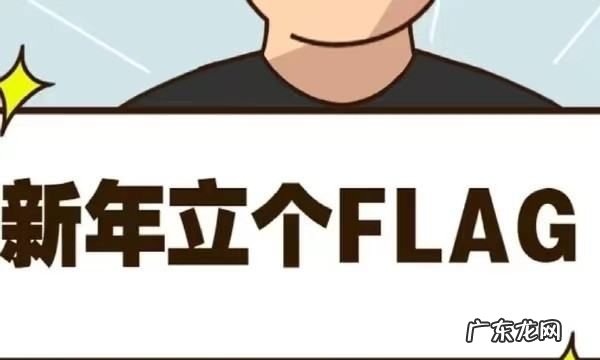 反flag是什么意思,flag是什么意思