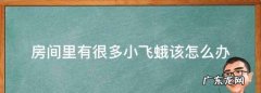 屋里有蛾子怎么能去除,家里有蛾子怎么样才能彻底去除