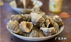 海螺可以直接冷冻,海螺能不能冷冻保存
