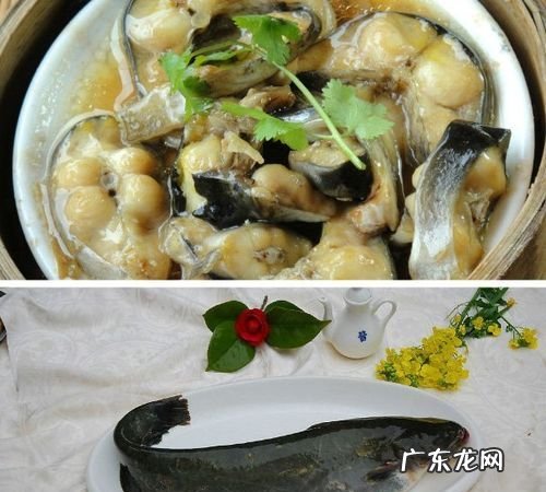 鲶鱼作用与功效,常吃鲶鱼对身体有什么好处