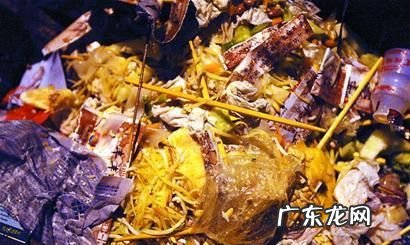 泔水可以倒在垃圾桶,泔水倒垃圾桶违法怎么处理