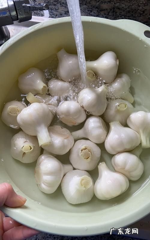腌糖蒜需要放水,腌糖蒜需要放水为什么