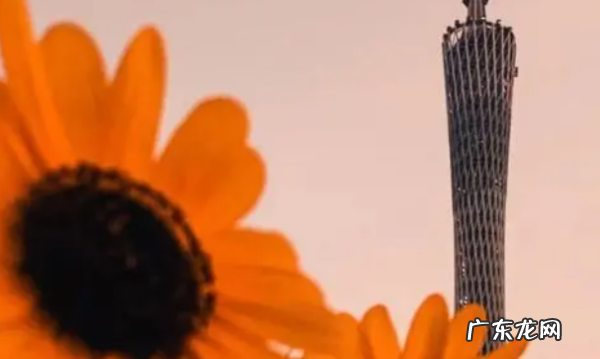 怎么调色调,人像照片怎么调色好看