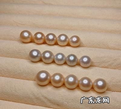 珍珠与什么有关,珠珍环琅表示与什么有关的词语
