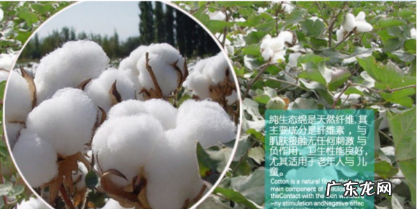 植物棉是什么材料,植物棉是什么材料做的 对身体有害