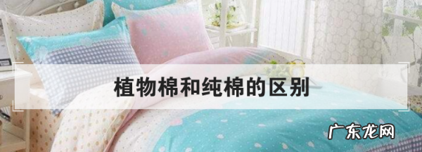 植物棉是什么材料,植物棉是什么材料做的 对身体有害
