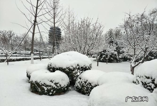 冬天下的雪可以吃,全国多地下雪怎么回事