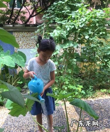 自来水能浇菜园,长春市用自来水浇菜地违法现在