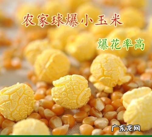如何用自家种的玉米做爆米花,玉米粒爆米花的做法窍门