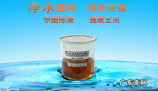 露天的鱼池怎么样防绿水,鱼池水变绿怎么办 露天