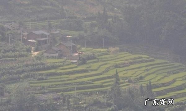 什么是图像直方图,摄影中如何看懂直方图的