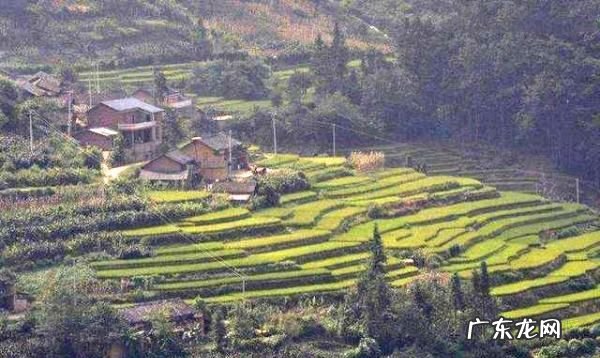 什么是图像直方图,摄影中如何看懂直方图的