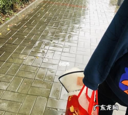 下雨天可以洗澡,雨天可以洗澡