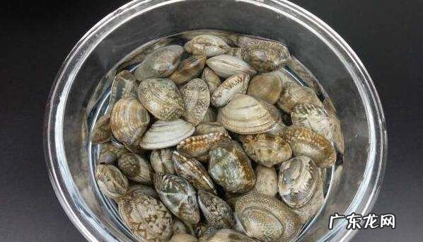 噶啦怎么吐沙,大嘎啦肉怎么清理