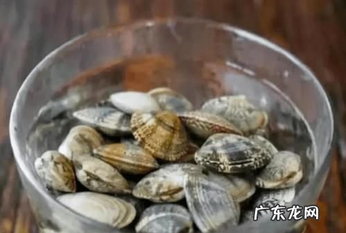 噶啦怎么吐沙,大嘎啦肉怎么清理