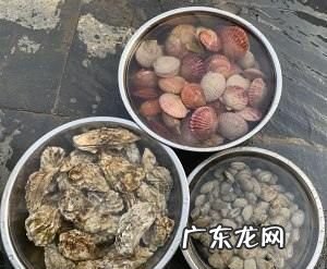 小红贝怎么清理能干净,扇贝肉怎么做好吃
