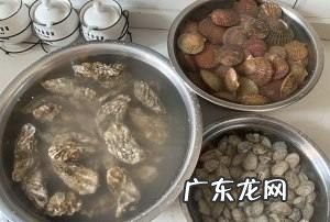 小红贝怎么清理能干净,扇贝肉怎么做好吃